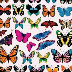 Meet your Posher, Hope